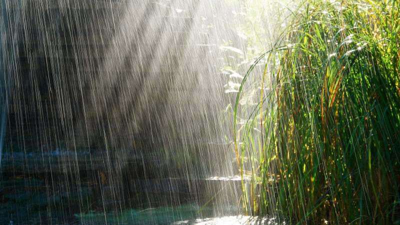 Maldos, kurias reikia skaityti iki lietaus vandens! Ar balandžio lietus gydo? Balandžio lietaus nauda