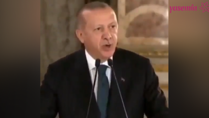 Prezidentas Erdoğanas: Menininkai, kurie savo politinę pusę įtraukė į polemiką, mus nuliūdino