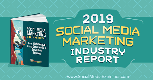 2019 m. Michaelo Stelznerio socialinės žiniasklaidos rinkodaros pramonės ataskaita apie socialinės žiniasklaidos ekspertą.