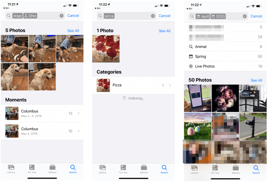 Kaip ieškoti objektų nuotraukose „iPhone“ ir „iPad“