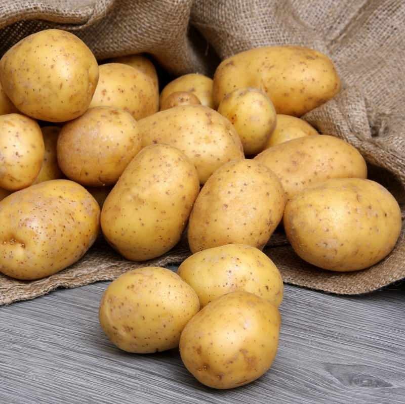 Kuo skiriasi valgomosios bulvės ir gruzdintos bulvytės
