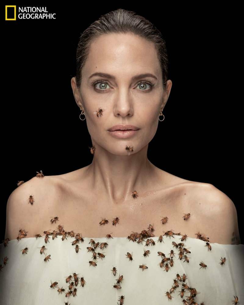 Angelina Jolie objektyvu su bitėmis bitėms!