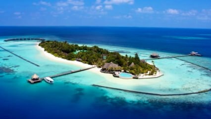Indonezijos Komodo sala saugoma 100 milijardų!