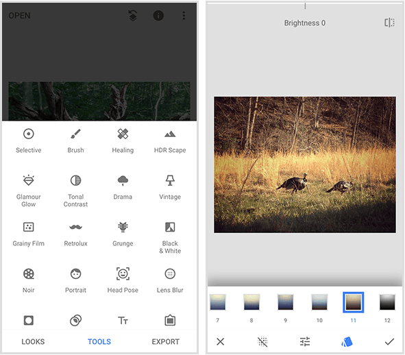 Kairėje esančiame „Snapseed“ meniu rodoma 20 skirtingų įrankių, o dešinėje esančiame „Snapseed“ filtro pavyzdyje - a dviejų laukinių kalakutų, einančių auksinėje žolėje, nuotrauka ir filtrų meniu mobiliojo ekrano apačioje.