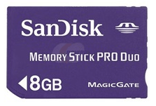 „Dandisk“ atminties kortelė 8 GB