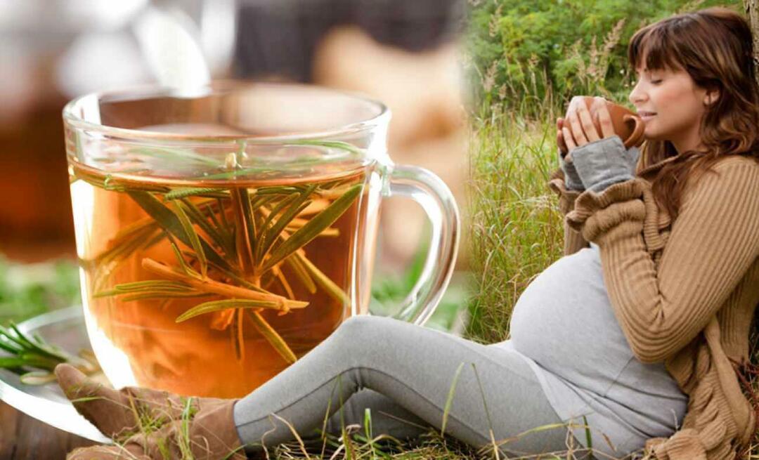 Ar nėščios moterys gali gerti žiemos arbatą? Kokią arbatą reikia gerti nėštumo metu? žiemos arbatos nėščiosioms
