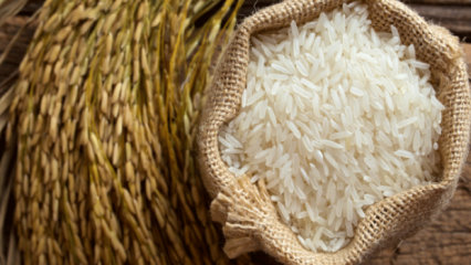 Kaip suprantami geriausi ryžiai? 