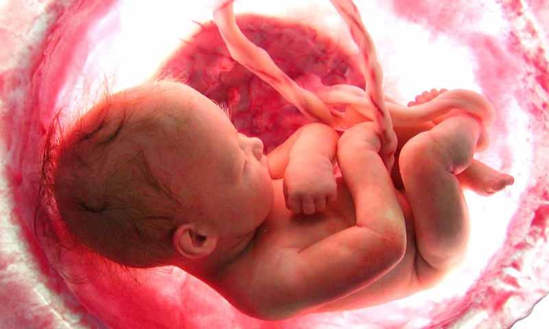 Koks yra kūdikio susiformavimas gimdoje? Žingsnis po žingsnio gimimo procesas