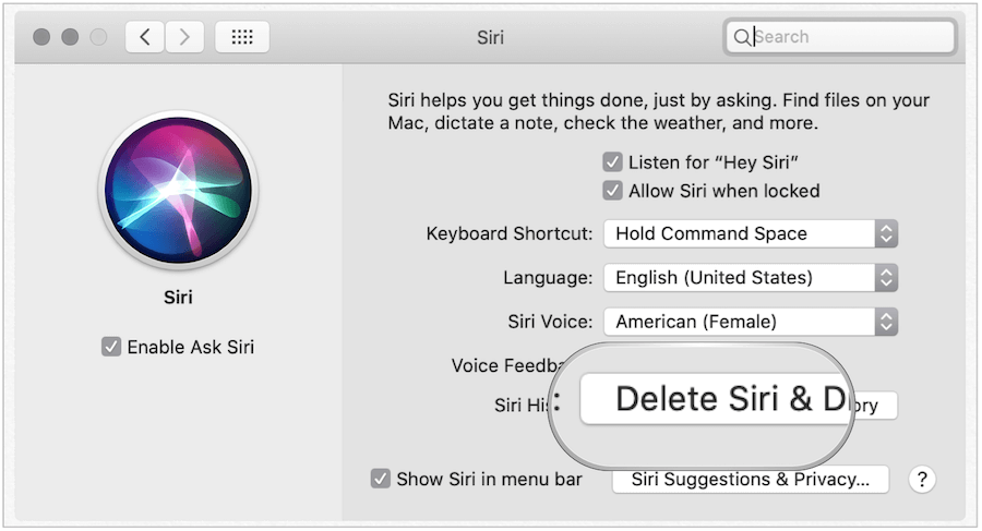 Ištrinkite „Siri“ istoriją „Mac“