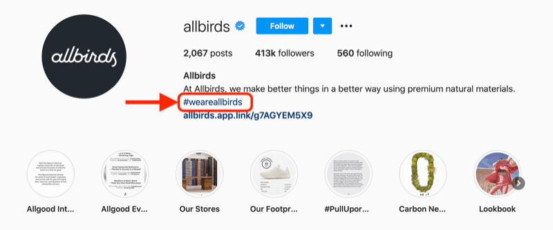 įmonės hashtago pavyzdys, įtrauktas į @allbirds instagram paskyros profilio aprašą