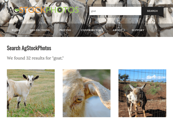 „AgStockPhotos“ yra žemės ūkio tematikos nuotraukos.