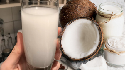 Ką daro kokosų vanduo? Kokie yra kokosų pranašumai?