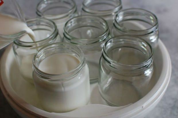 jogurtas iš kaimo pieno