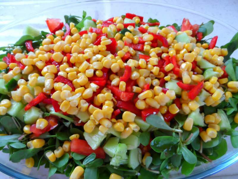 Kaip pasigaminti portulakos salotas? Lengviausias portulakos salotų receptas