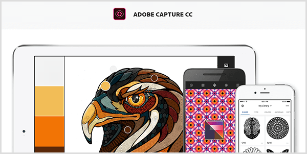 „Adobe Capture“ sukuria paletę iš vaizdo, kurį užfiksuojate mobiliuoju įrenginiu. Svetainėje pateikiama paukščio iliustracija ir iš iliustracijos sukurta paletė, kurioje yra šviesiai pilka, geltona, oranžinė ir rausvai ruda.