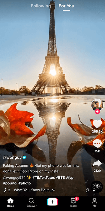 @ wonguy974 „tiktok“ nuotraukos ekrano kopija pavadinimu „netikras ruduo“, rodantis Eifelio bokštą siluetu ir saulė leidžiasi už jos, atsispindėdama baloje, įrėmintoje dviejų krentančių lapų apačioje vaizdas