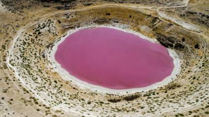 Meyil Obruk ežero spalva tapo rausva!