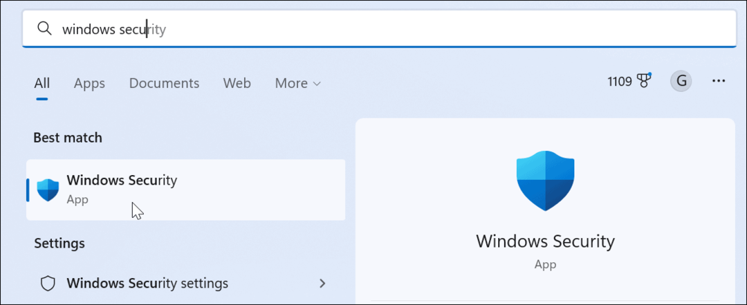 „Windows“ saugos programa