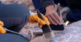 Atradimas, pakeisiantis istorijos eigą: archeologai aptiko seniausią pasaulyje medinę konstrukciją