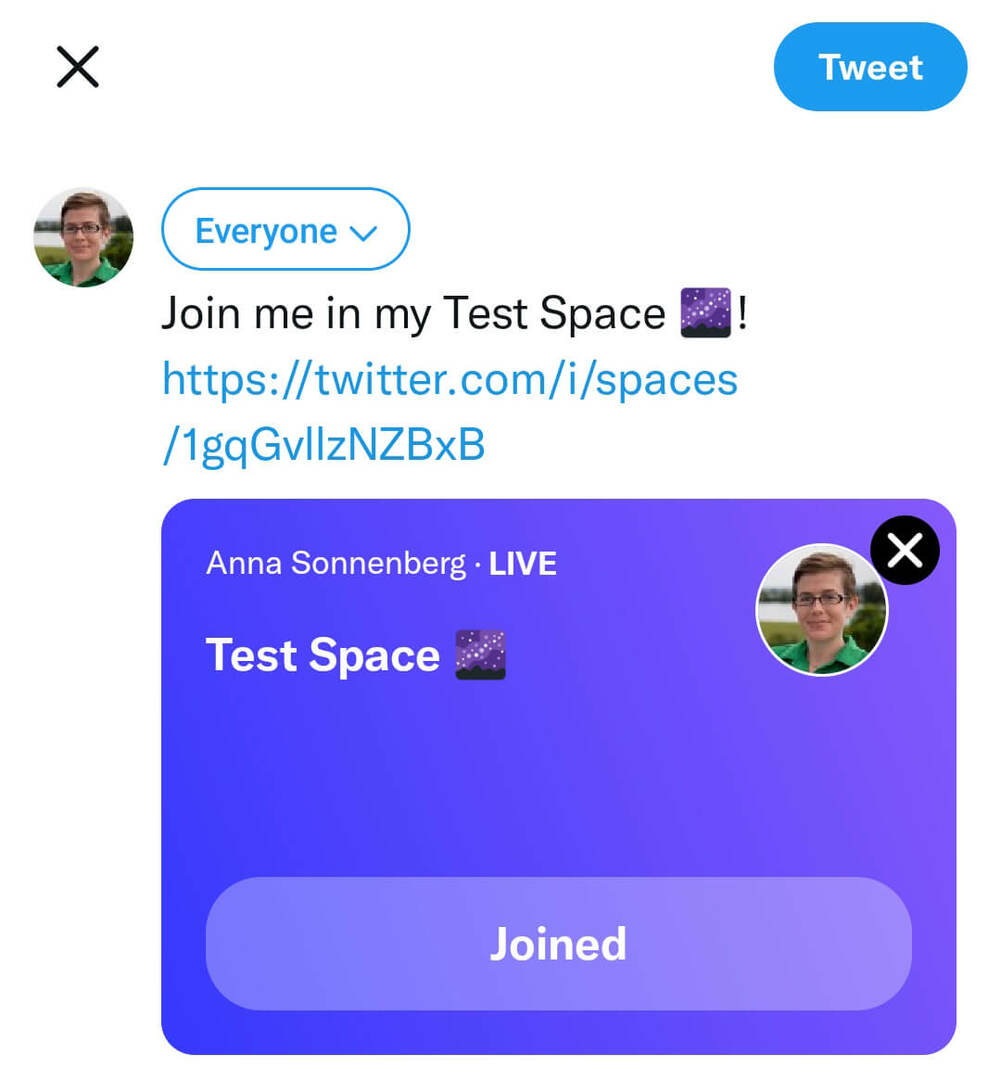 kaip-sukurti-twitter-spaces-share-space-tweet-linkedin-facebook-anna-sonnenberg-8 žingsnis
