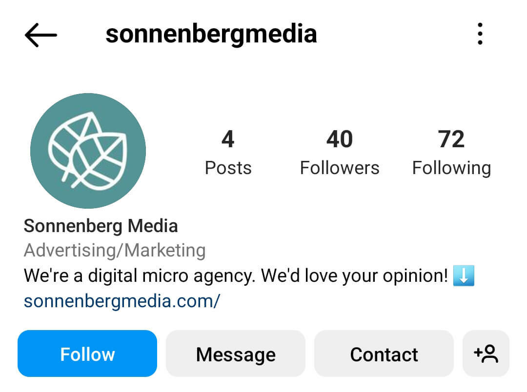 kaip-paklausti-savo-Instagram-followers-posts-market-research-survey-link-directly-in-ig-bio-sonnenbergmedia-example-13