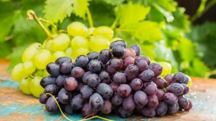 Kas nutiks, jei per dieną suvalgysite dubenį vynuogių?