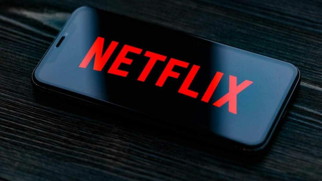 „Netflix“ slaptažodžio bendrinimas dabar bus laikomas nusikaltimu