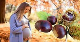 Ar nėščios moterys gali valgyti kaštonus? Kaštonų valgymo nėštumo metu nauda kūdikiui ir mamai
