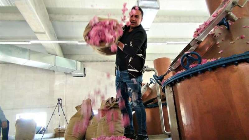 Berdanas Mardini savo gimtajame mieste įkūrė rožių aliejaus fabriką!