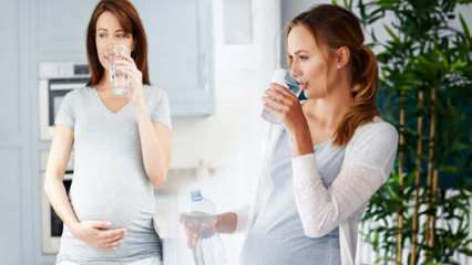 Geriamojo vandens nauda nėščioms moterims! Kiek vandens reikia suvartoti nėštumo metu? 
