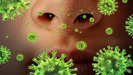 Pakartotinai atsirandantis: kas yra Sars virusas ir kokie jo simptomai? Kaip perduodamas Sars virusas?