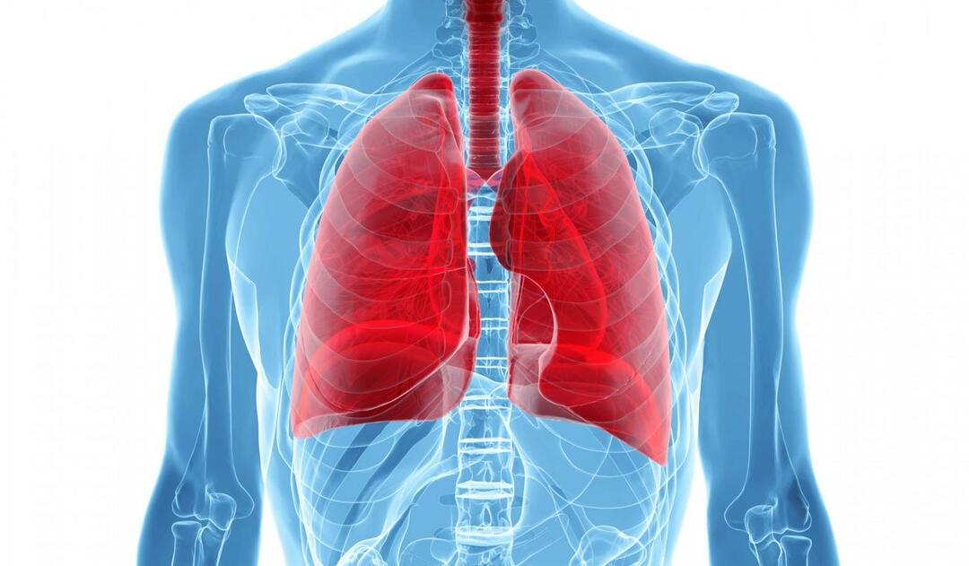 Kas yra baltųjų plaučių sindromas ir kokie jo simptomai? Koks yra baltųjų plaučių sindromo gydymas?