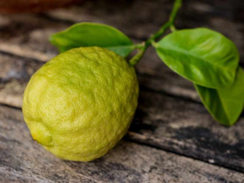 Bergamotės išvaizda panaši į citriną
