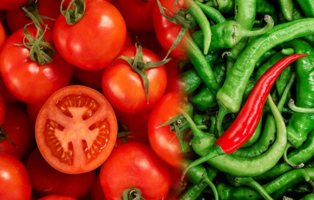 Ar susilpnėja pomidorai ir pipirai?