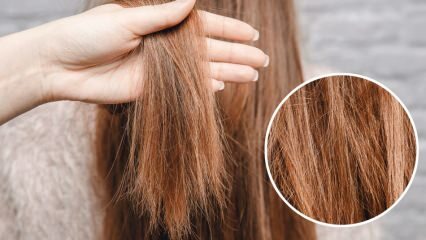 Ką daryti su plaukais, išdegintais iš orijos? Kaip reikia prižiūrėti apdorotus plaukus?