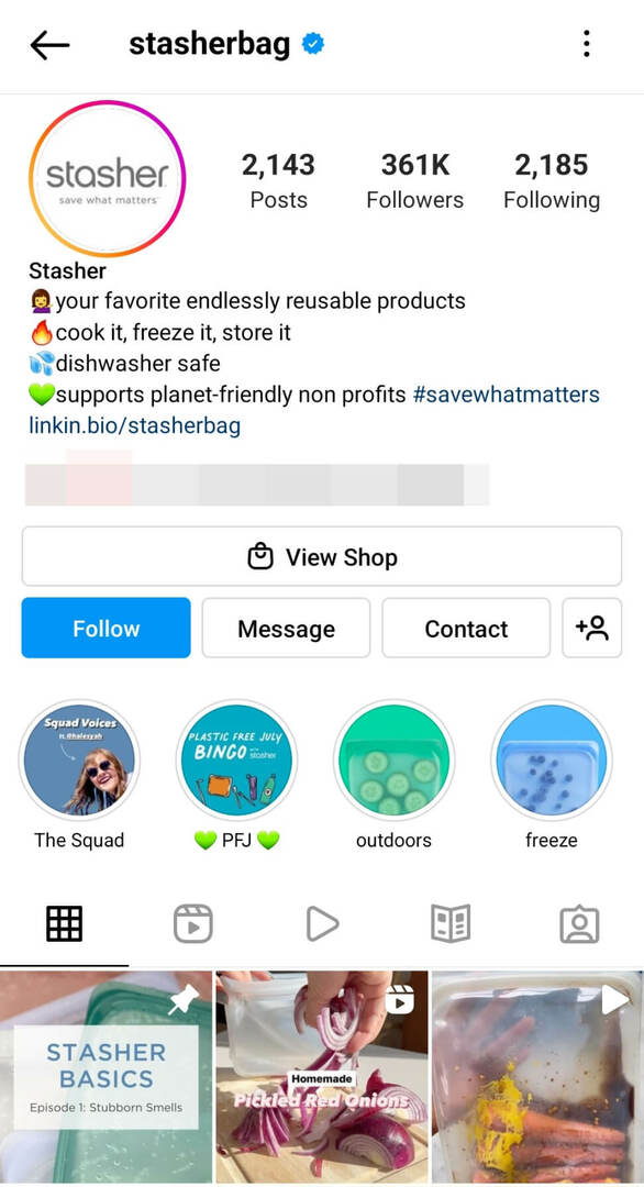 kaip-to-instagram-grid-prisegti-feature-marketing-introductory-evergreen-content-stasherbag-6