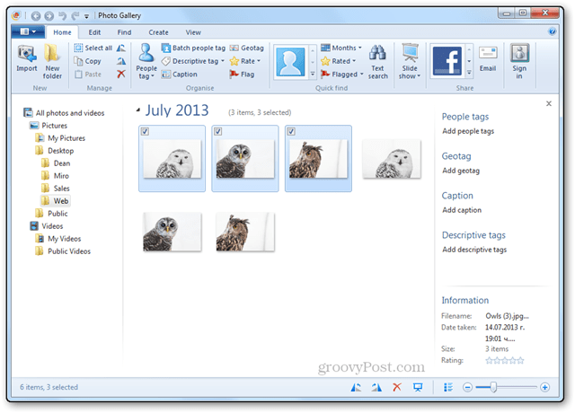 nuotraukos, kurių dydis keičiamas, pamoka, „Windows Live“ nuotraukų galerijos pagrindinis ekranas, pakeistos nuotraukos ir originalios nuotraukos