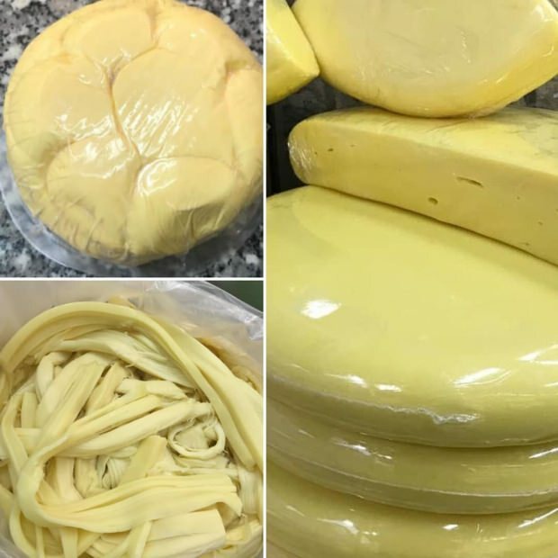 kaip gaminti sūrį