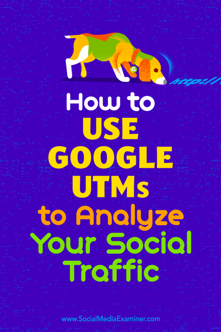 Kaip naudoti „Google UTM“, norint analizuoti Tammy Cannon socialinį srautą socialinės žiniasklaidos eksperte.