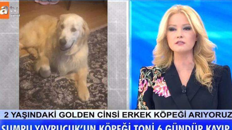 Presenter Müge Anlı paskelbė: rastas aktorės Sumru Yavrucuko šuo ...