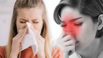 Kas yra alerginis rinitas? Kokie yra alerginio rinito simptomai? Ar yra alerginio rinito gydymas?