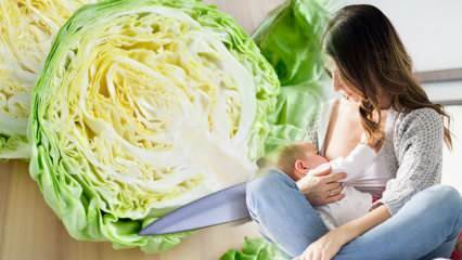 Ar kopūstai gamina dujas maitinančiai motinai ir kūdikiui? Ar gali krūtimi maitinančios motinos gerti kopūstų sultis? 