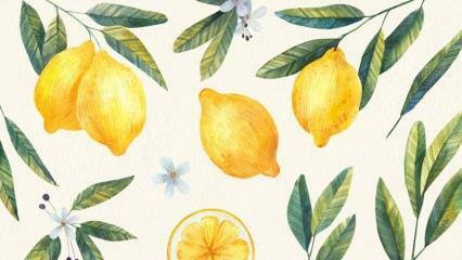 Geriausi receptai su citrina! Lengviausias citrininio deserto receptas
