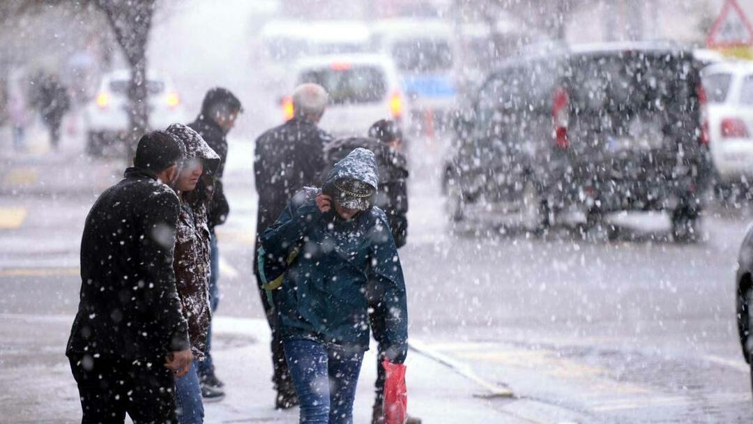 Kas yra El Nino žiema? Kada ateis El Nino žiema? 1987-ųjų žiema grįžta!