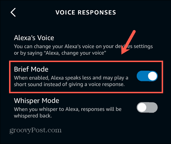 „Alexa App“ trumpas režimas įjungtas