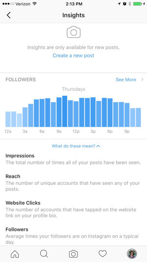 instagram verslo profilio įžvalgos