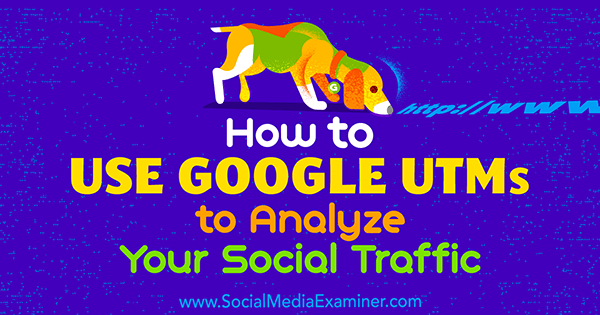 Kaip naudoti „Google UTM“, norint analizuoti Tammy Cannon socialinį srautą socialinės žiniasklaidos eksperte.