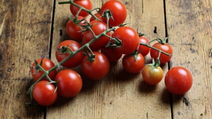 Kaip išvengti pomidorų puvinio? Kaip išvengti pomidorų kandžio? 