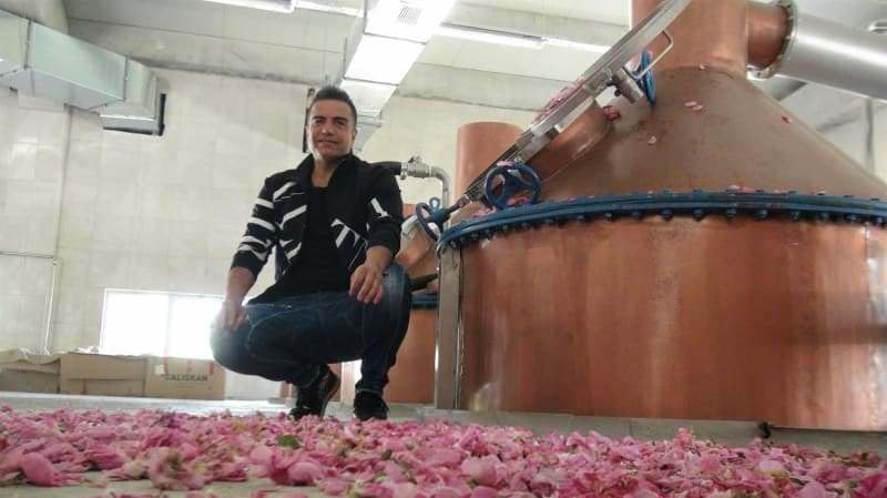 gimtojo miesto kieme berdanas mardini įkūrė rožių aliejaus fabriką