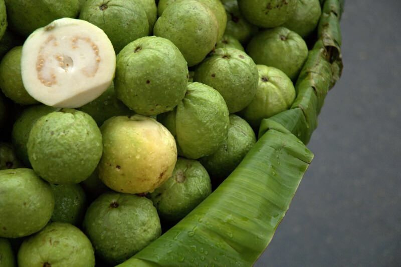 neprinokęs guavano vaisius 